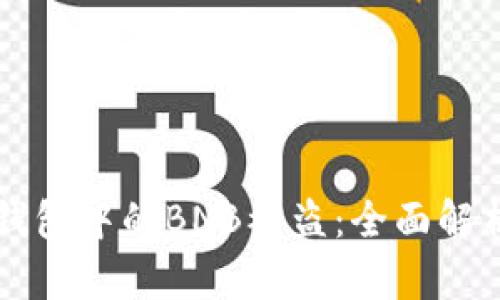 如何防止TP钱包中的BNB被盗：全面解析与安全指南