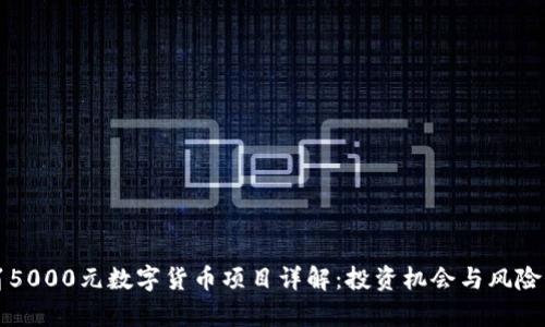 龙岗5000元数字货币项目详解：投资机会与风险分析