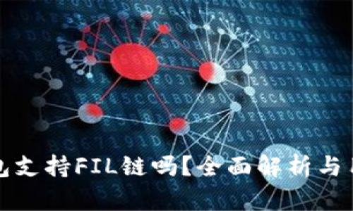 : TP钱包支持FIL链吗？全面解析与用户指南