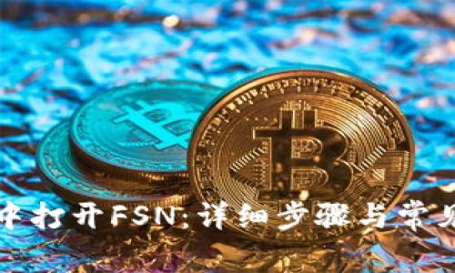 如何在TP中打开FSN：详细步骤与常见问题解答