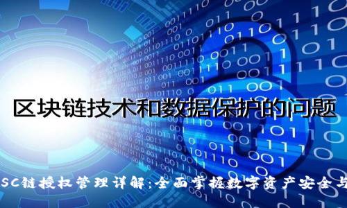 TP BSC链授权管理详解：全面掌握数字资产安全与管理